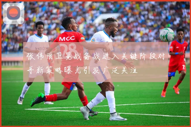 张伟丽卫冕战备战进入关键阶段对手新策略曝光引发广泛关注