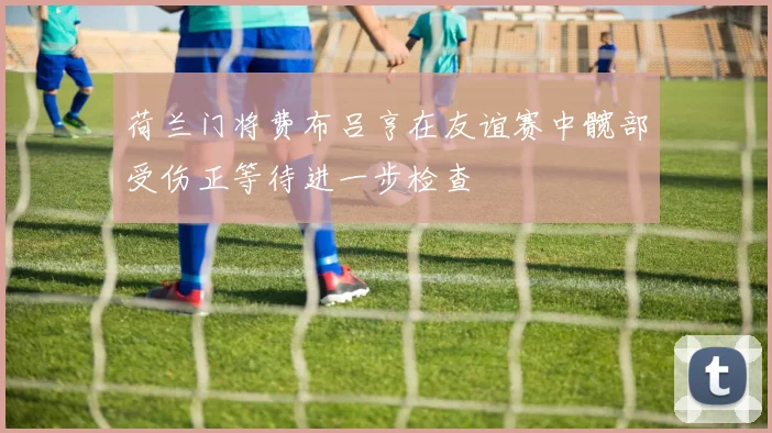 荷兰门将费布吕亨在友谊赛中髋部受伤正等待进一步检查
